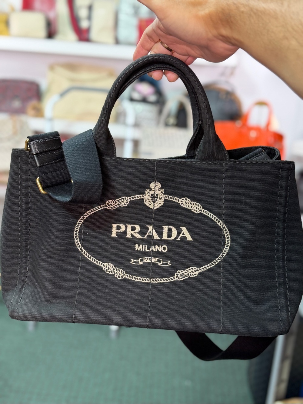3 Pack Prada Canapa Bundle